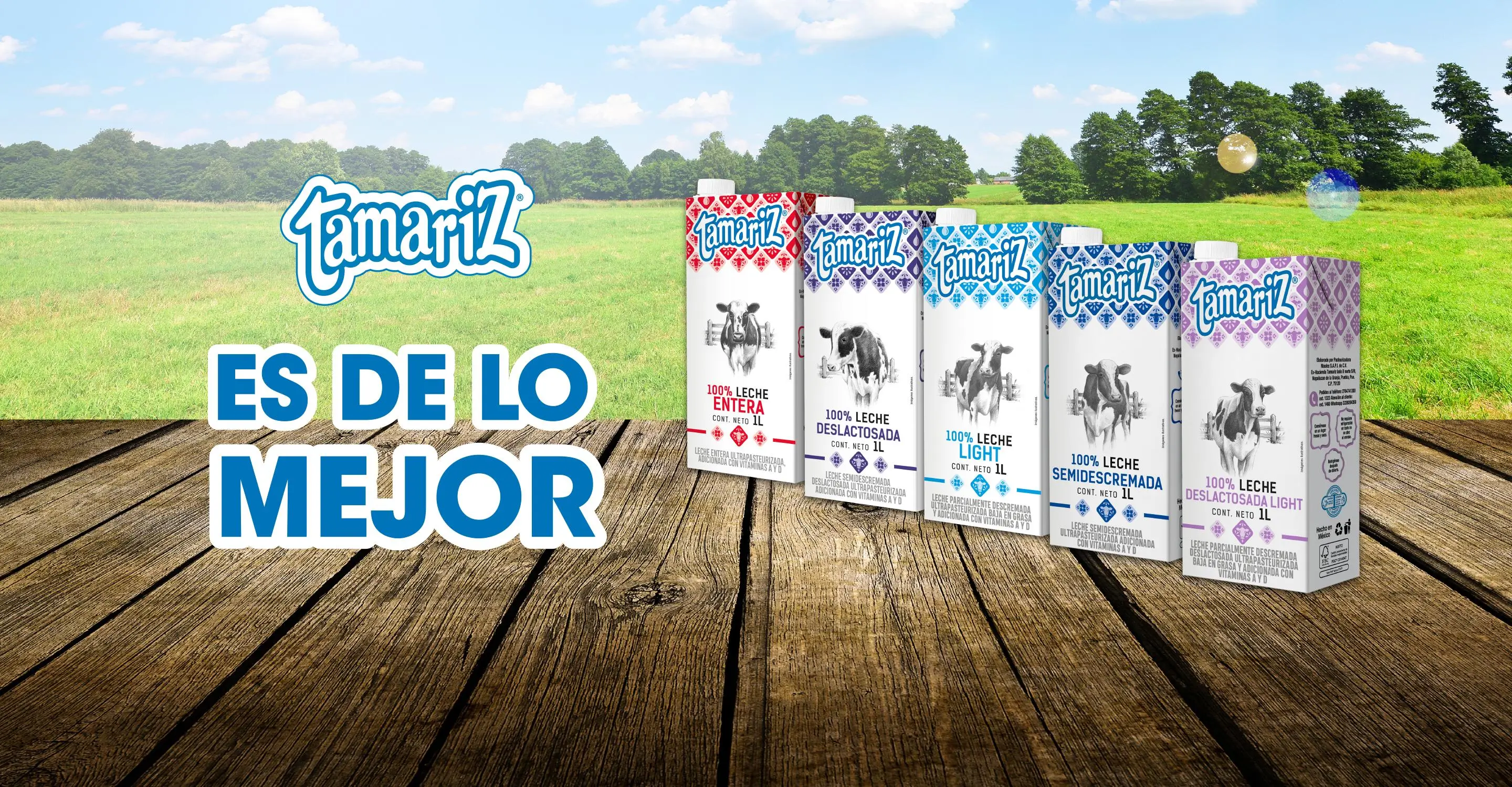 Tamariz es de lo mejor