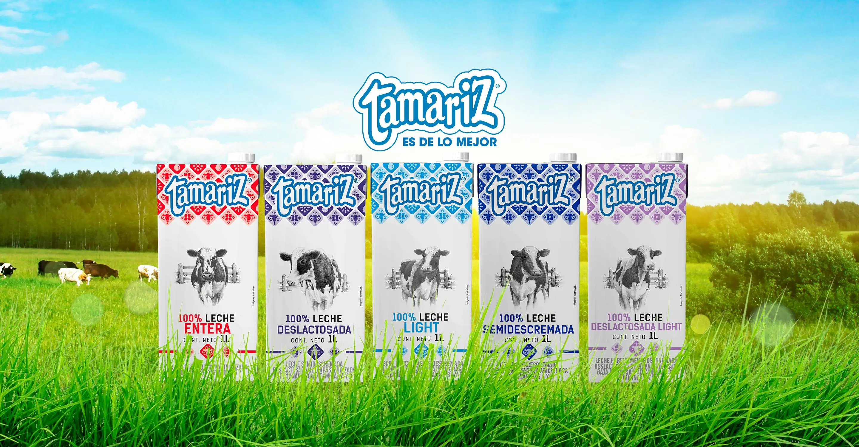 Tamariz productos